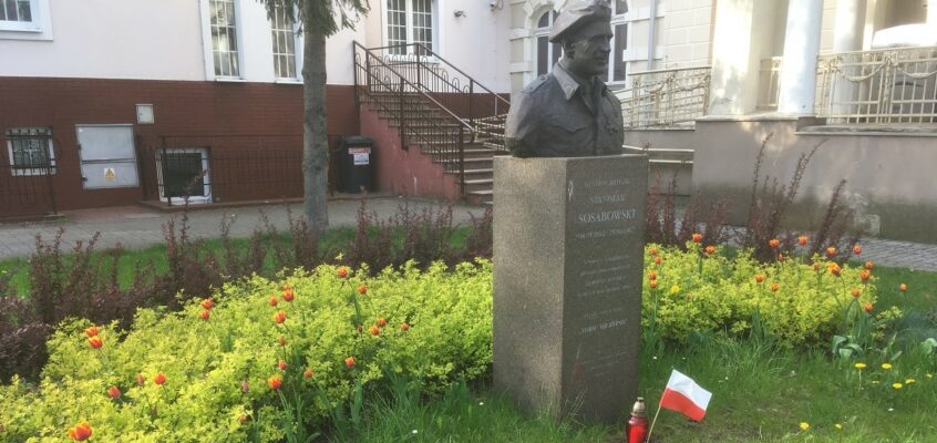 Tulipany zakwitły w imieniny generała Sosabowskiego