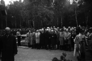 efotka0211
