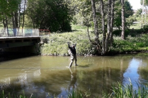 20180519_124639