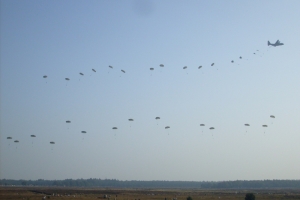 b1 (2)