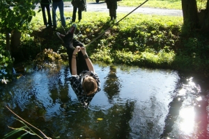 k (7)