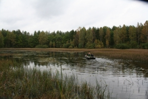 jgp2006165