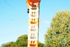 1 (81)