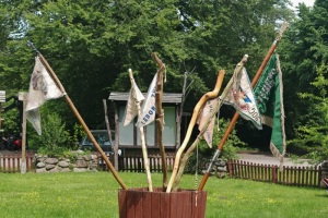 IMG_20250601_125235