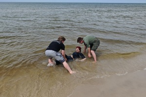 IMG_20250601_140648