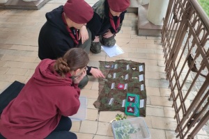 aIMG-20250602-WA0117abb