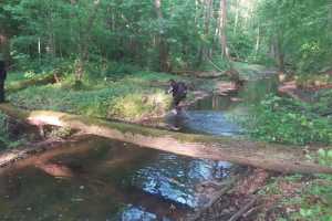 eIMG-20250531-WA0089