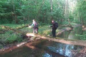 eIMG-20250531-WA0090