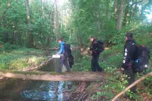 eIMG-20250531-WA0091