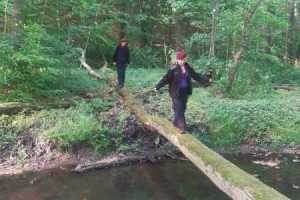 eIMG-20250531-WA0092