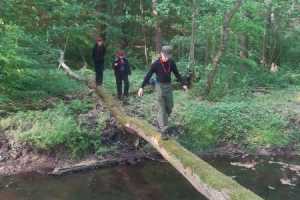 eIMG-20250531-WA0094