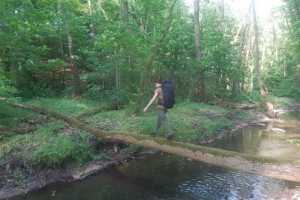 eIMG-20250531-WA0095