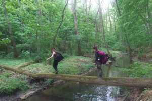 eIMG-20250531-WA0098