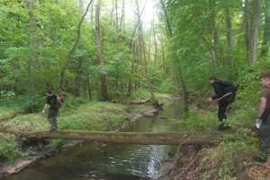 eIMG-20250531-WA0101