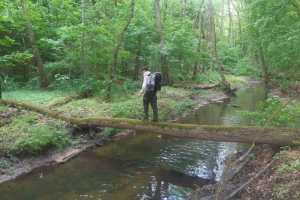 eIMG-20250531-WA0102