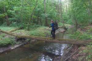 eIMG-20250531-WA0103