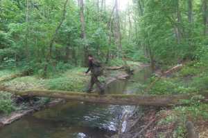 eIMG-20250531-WA0104