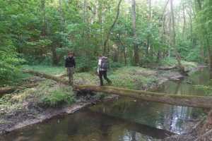 eIMG-20250531-WA0105