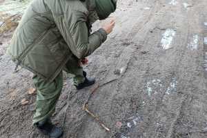 img-20251124-wa00191