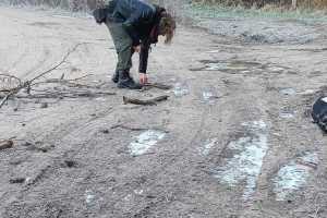 img-20251124-wa00211