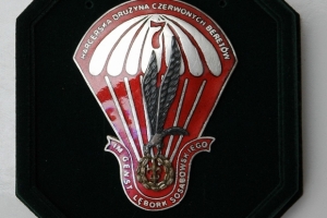 JGP2007CN264