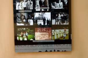 a202rttttt