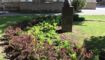 Nowe rośliny przy pomniku generała 
