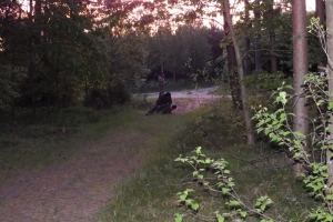 DSCF1803