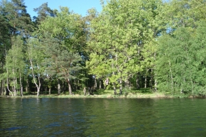 Obraz 017