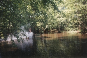 Untitled-l4