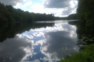 WP_20160611_025
