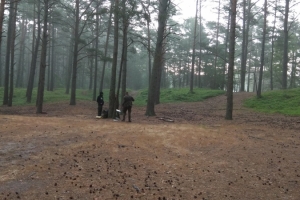 cIMG_20190620_062829