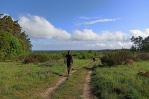 dIMG_20210529_075010