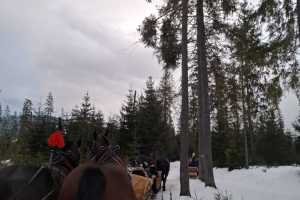 img-20260217-wa0009