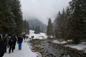 img-20260217-wa0015