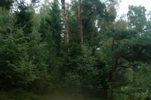 PrzygodaObraz 018